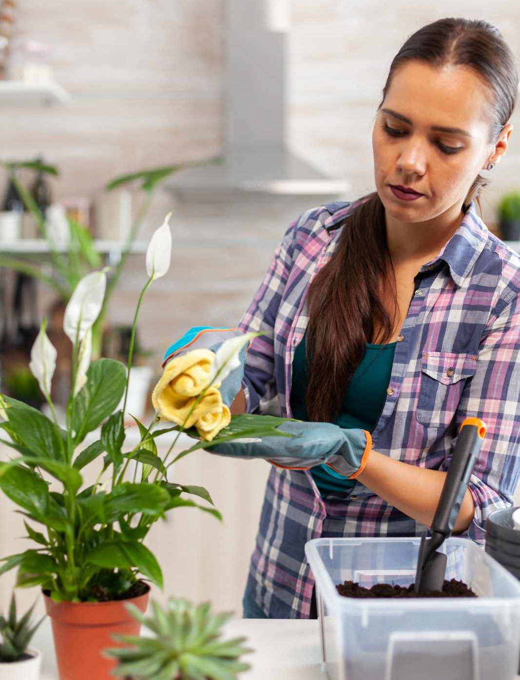 Cleaning Services Al Nahda
