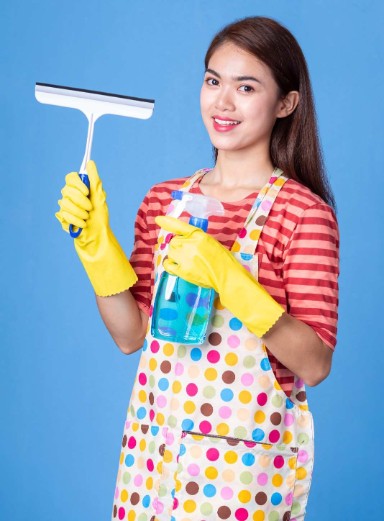 Cleaning Services in Al Safa